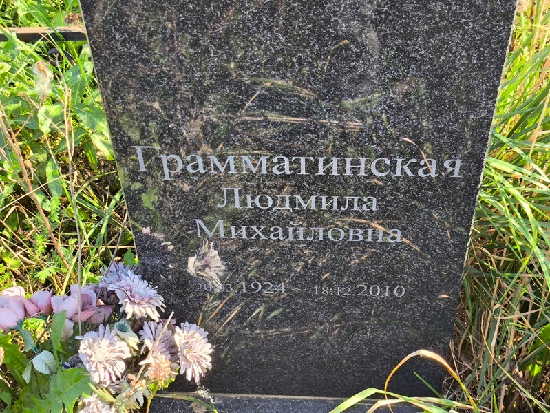Грамматинская