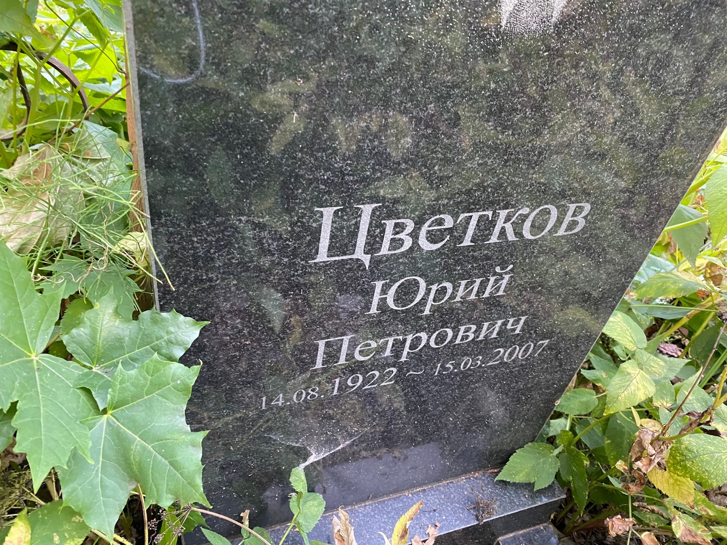 Цветков