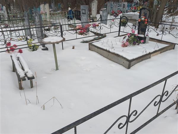 Кичигин Павел Г.