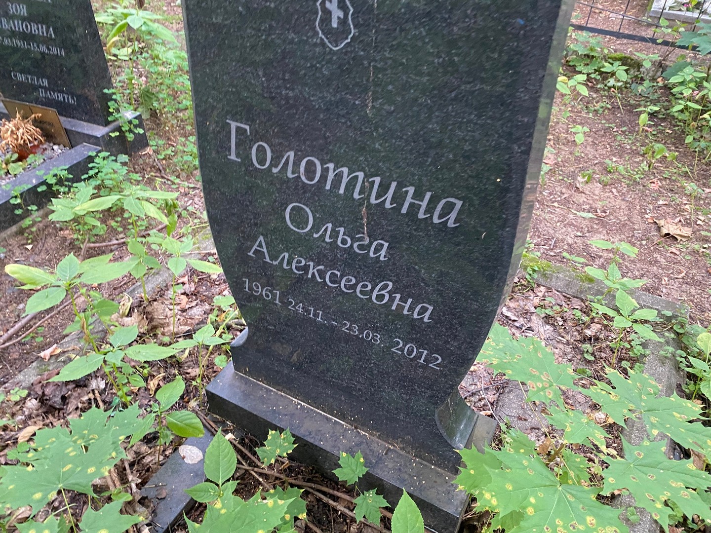 Голотина