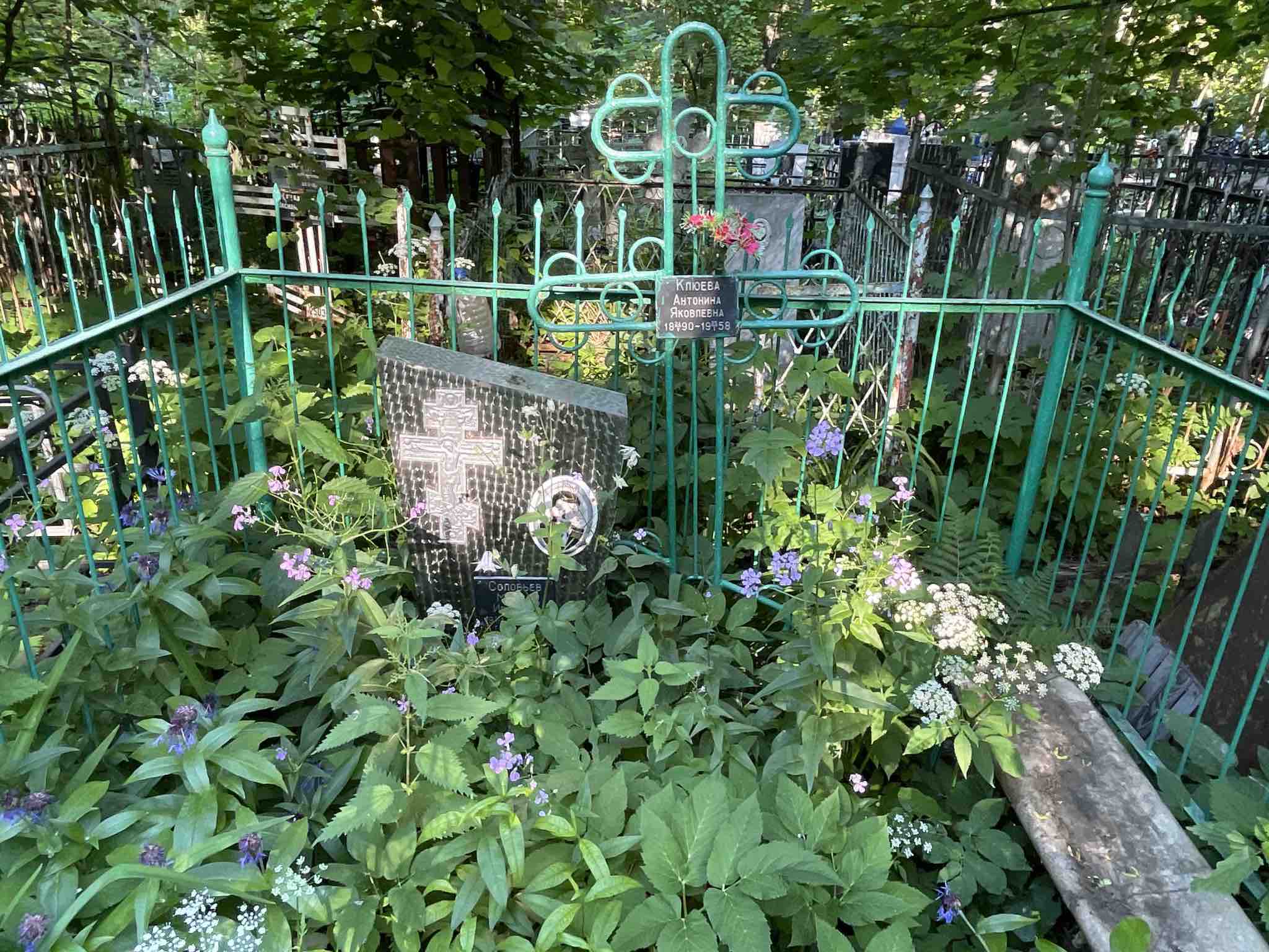 Клюева Антонина Яковлевна