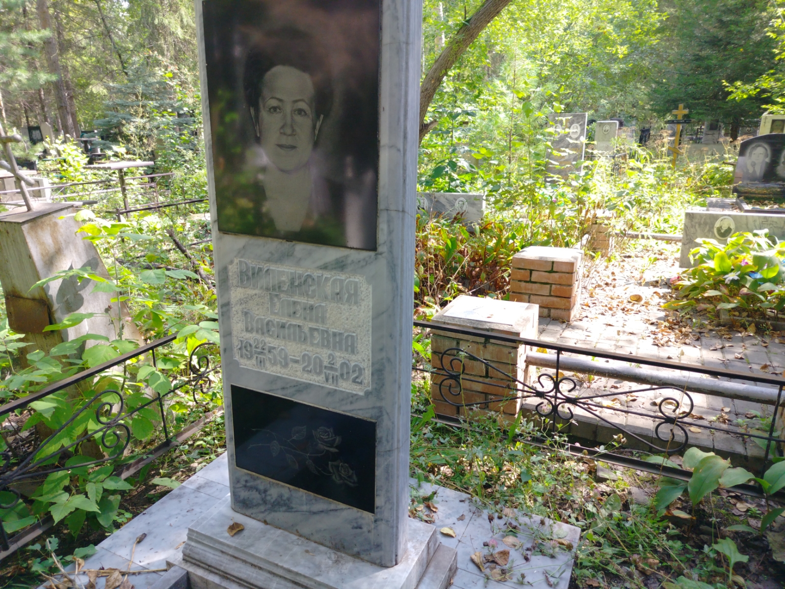 Виленская Елена Васильевна