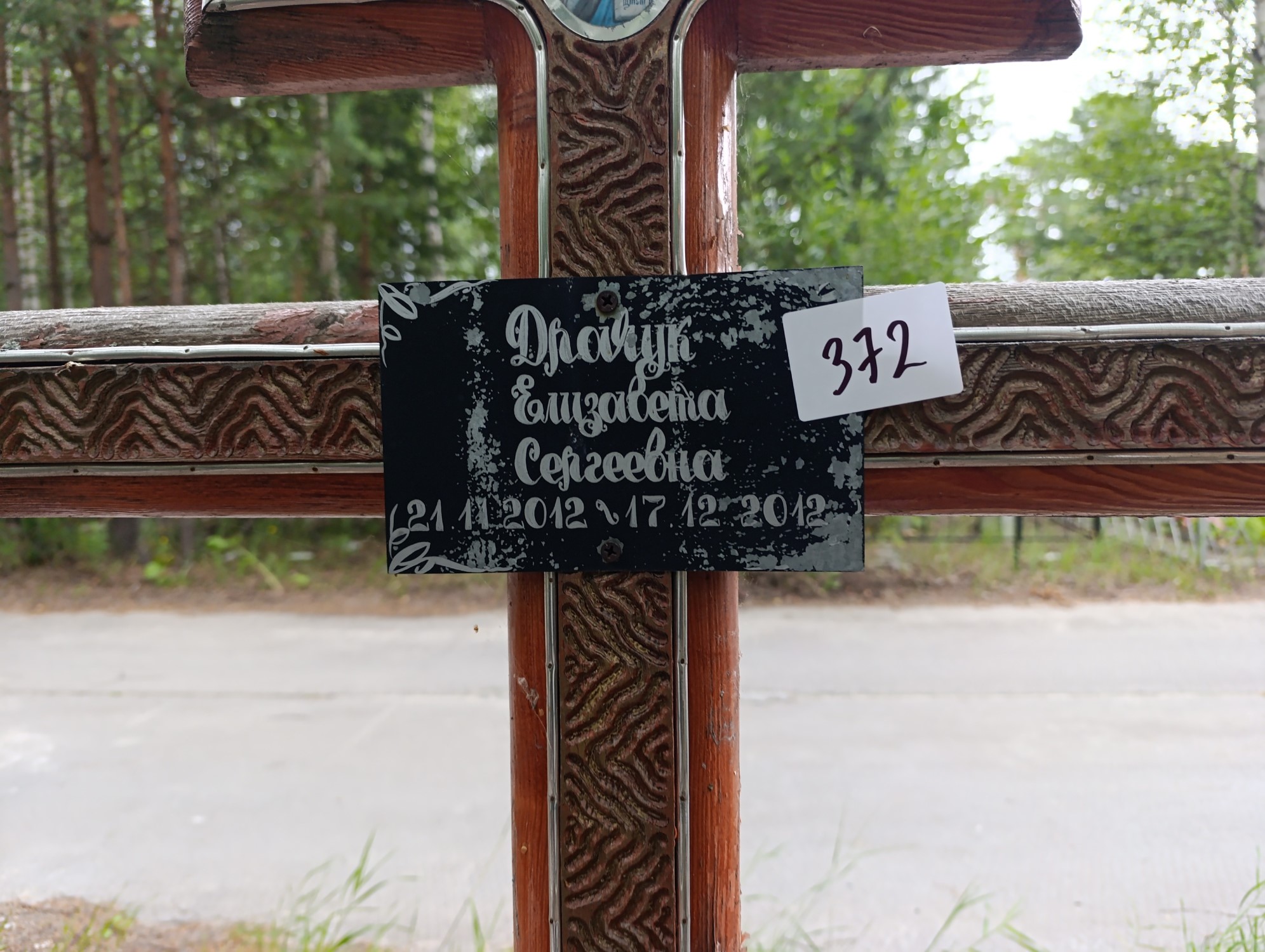 Драчук Елизавета Сергеевна