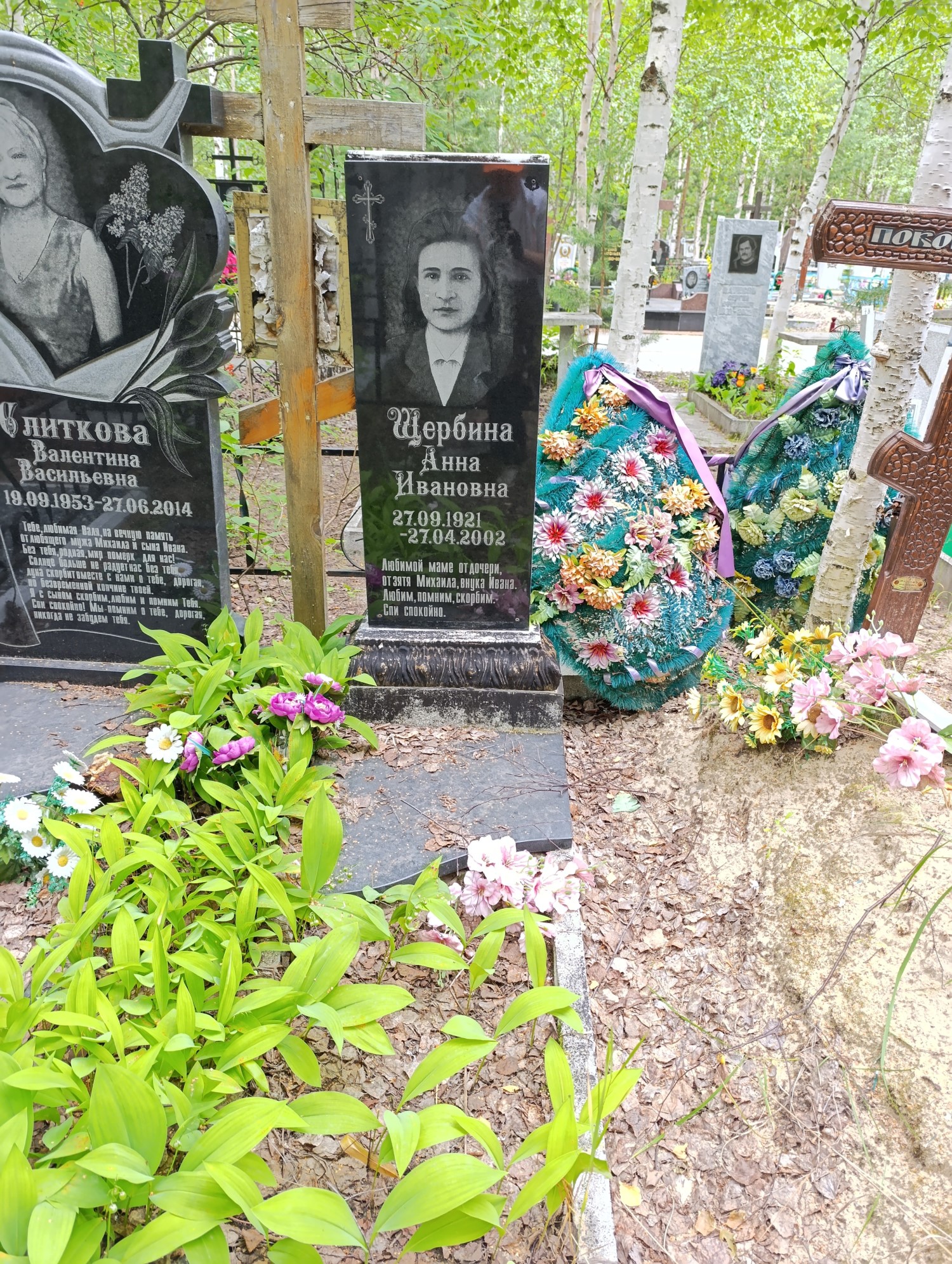 Щербина Анна Ивановна