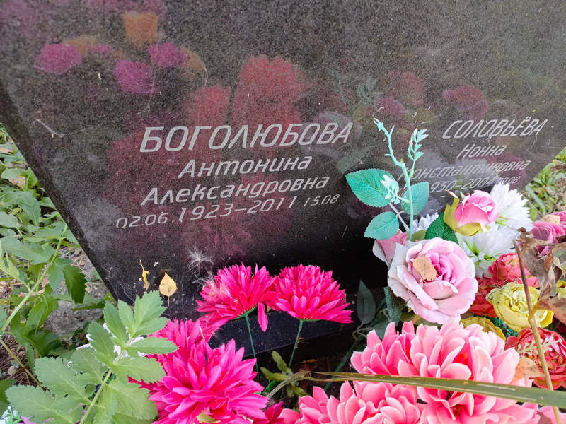 Боголюбова Антонина Александровна