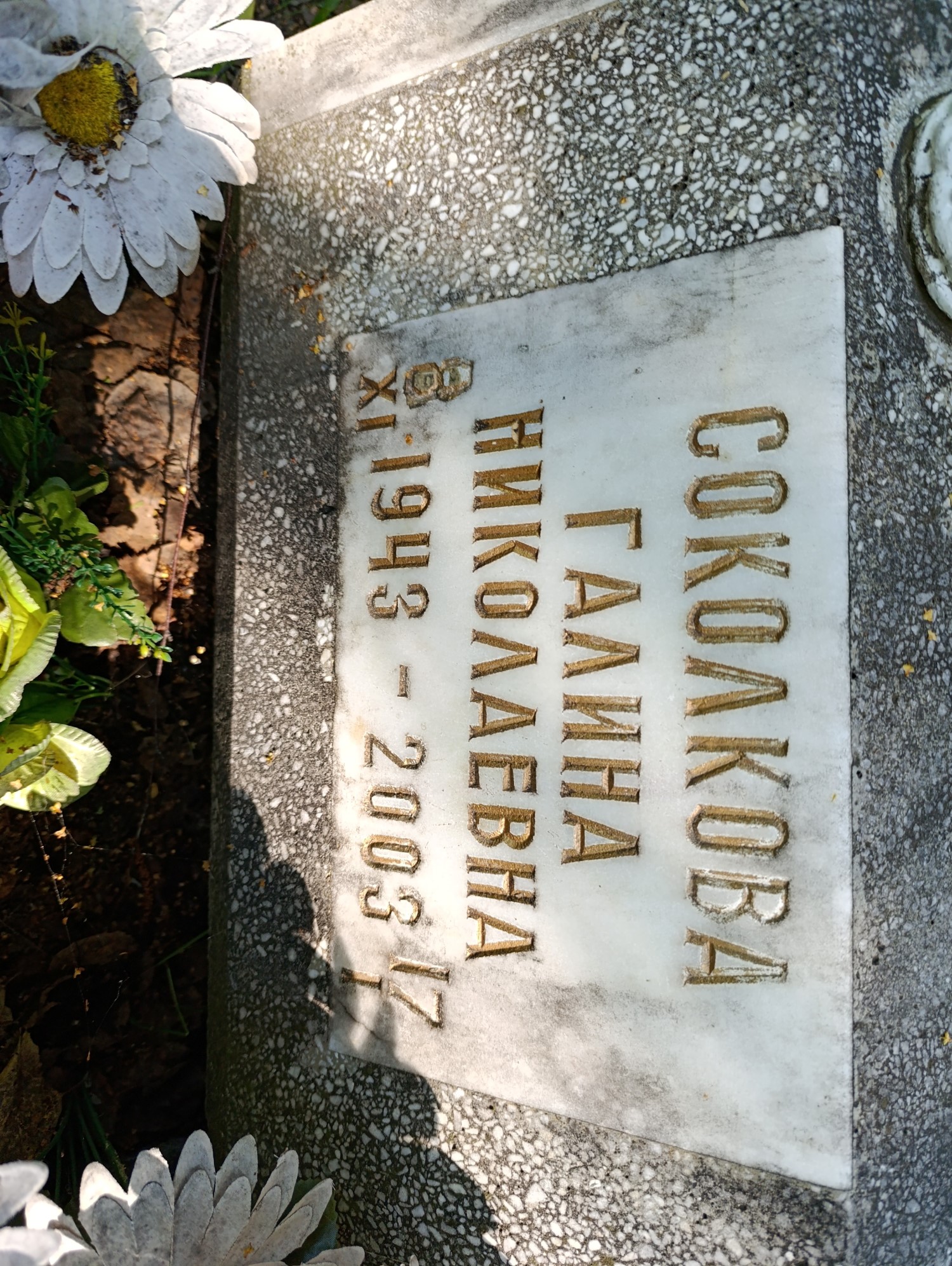 Соколкова Галина Николаевна