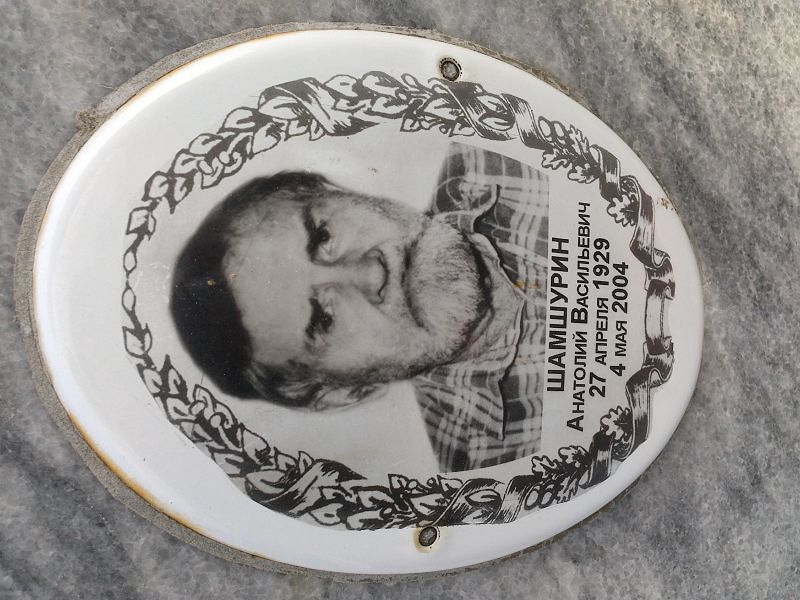 Шамшурин