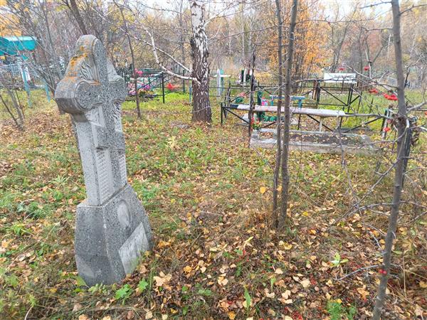 Телинский М. И.