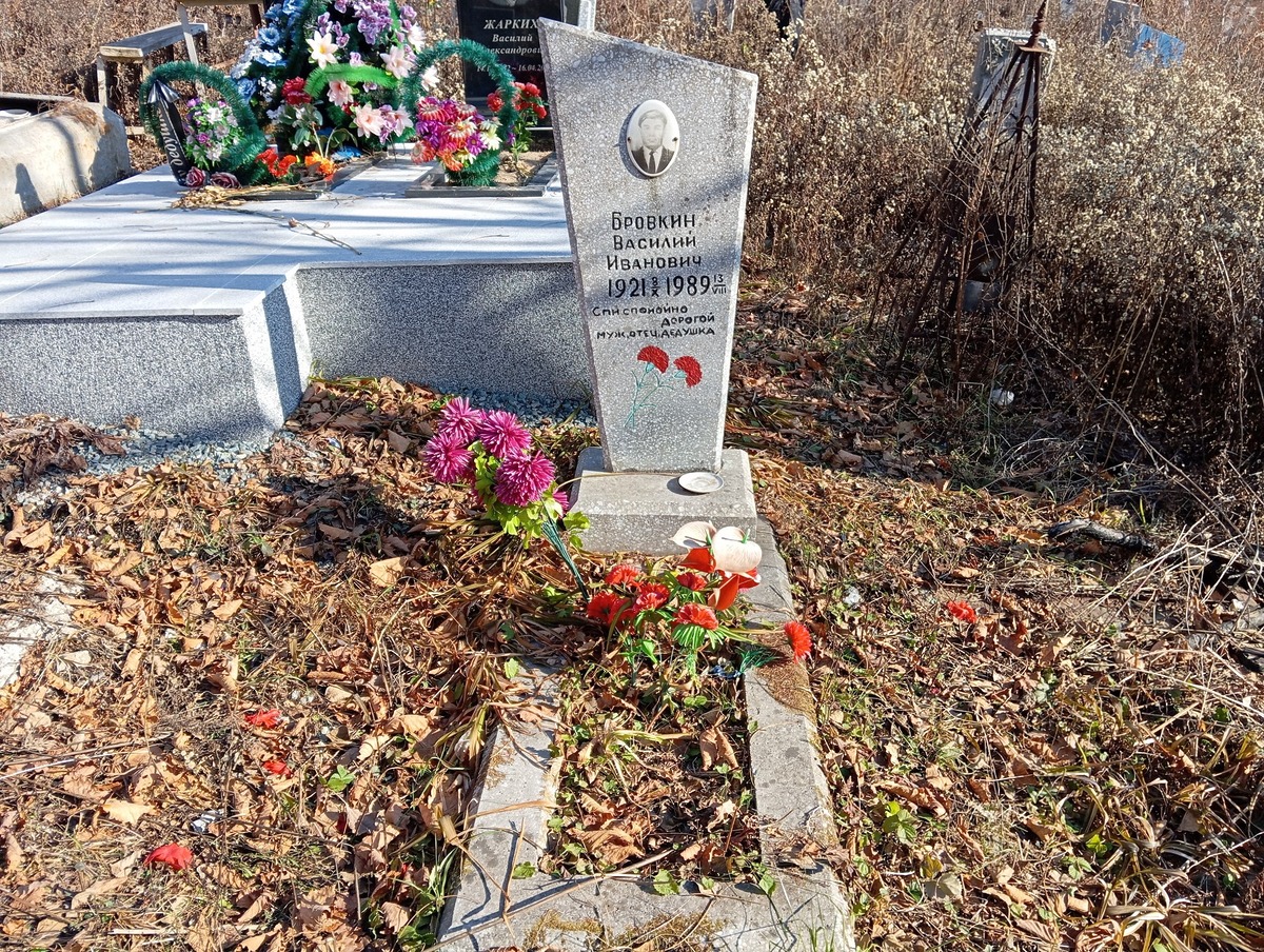 Бровкин Василий Иванович