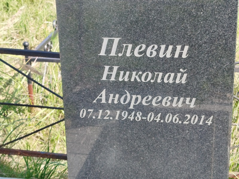Плевин