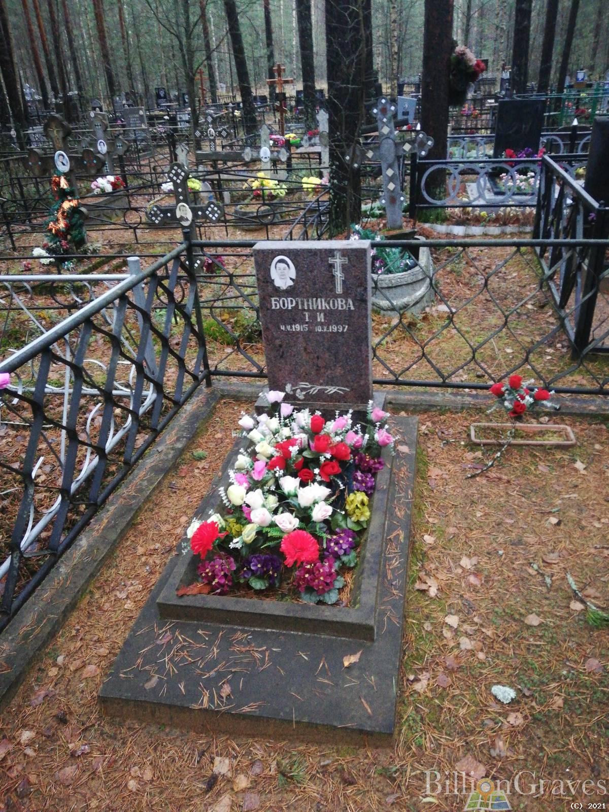 Бортникова Т.И.