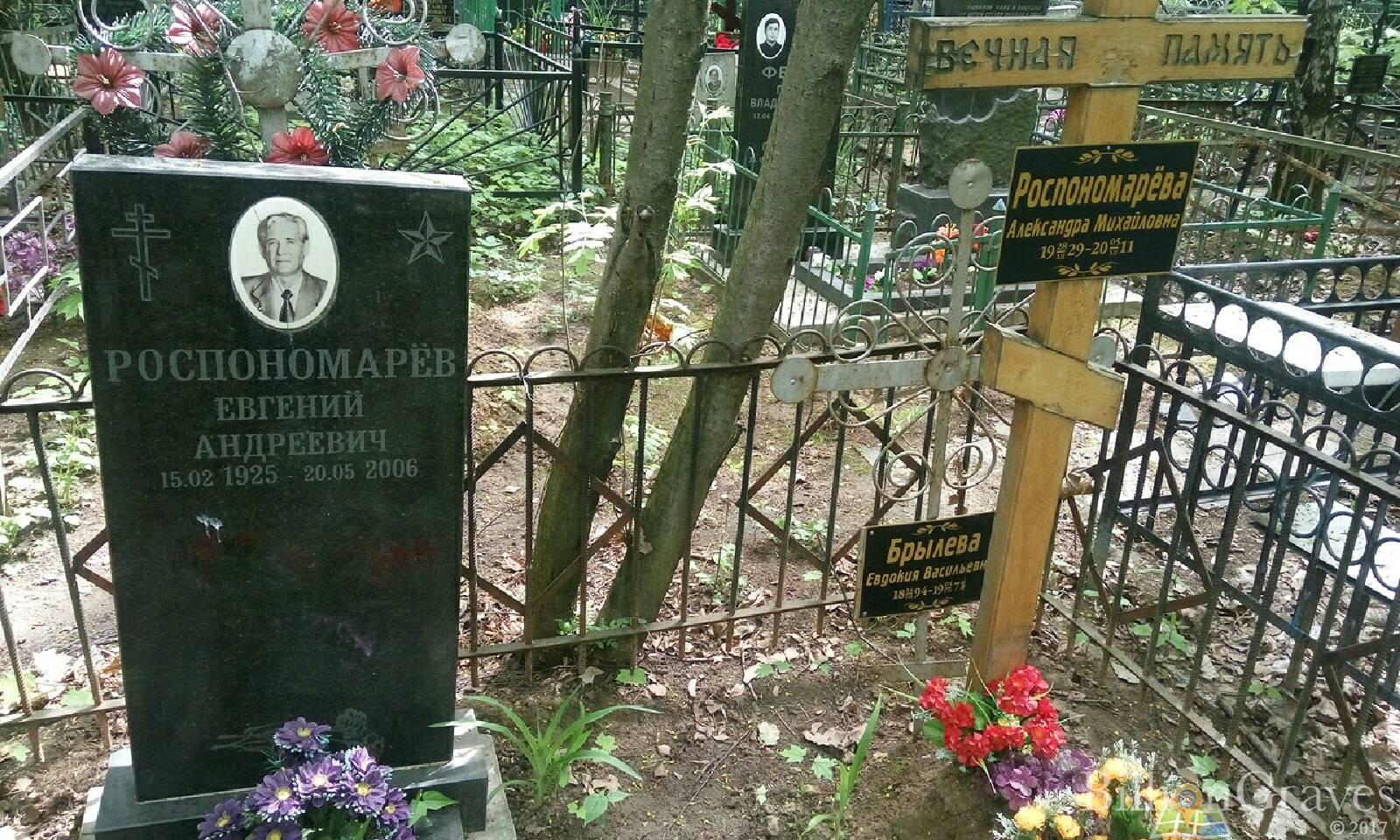 Брылева Евдокия Васильевна