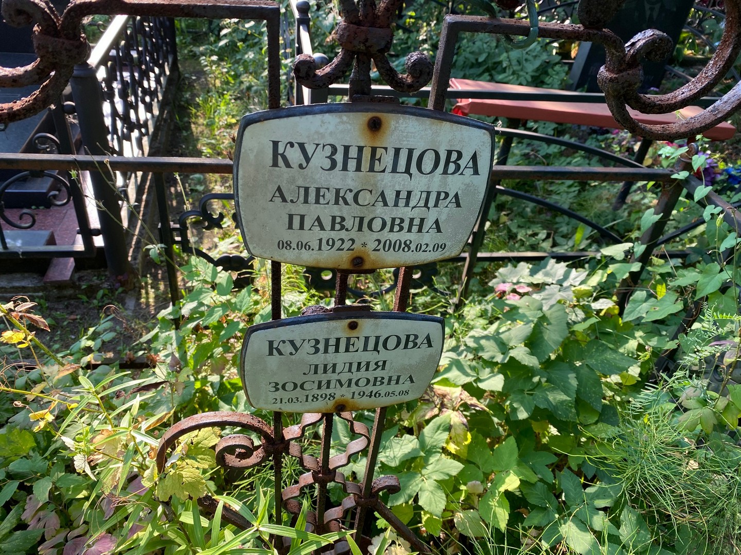 Кузнецова Александра Павловна