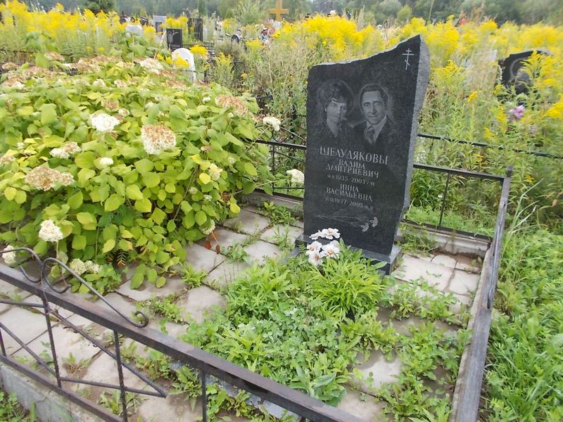 Шелудяков Вадим Дмитриевич