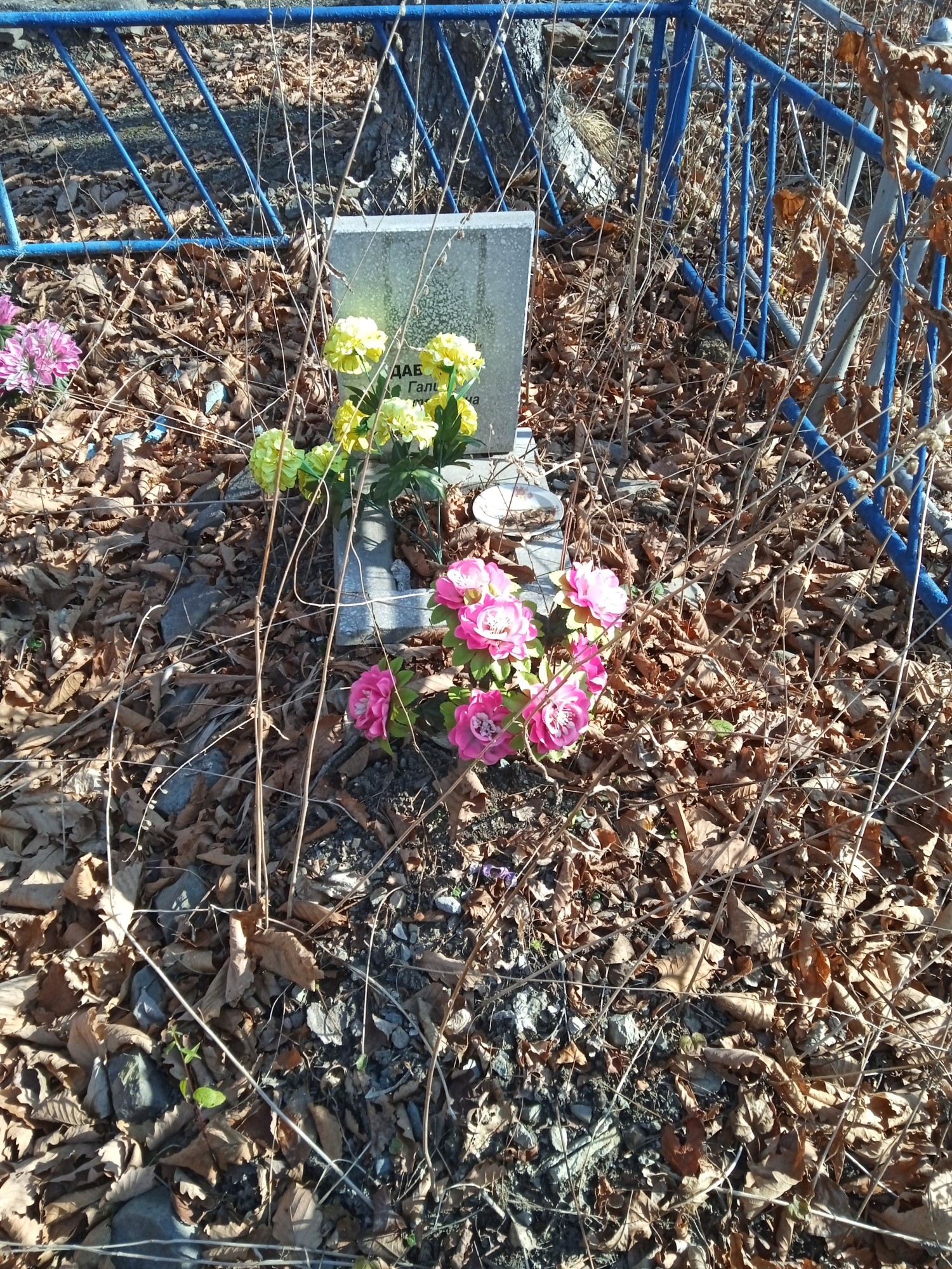 Давыдюк Галина Анатольевна