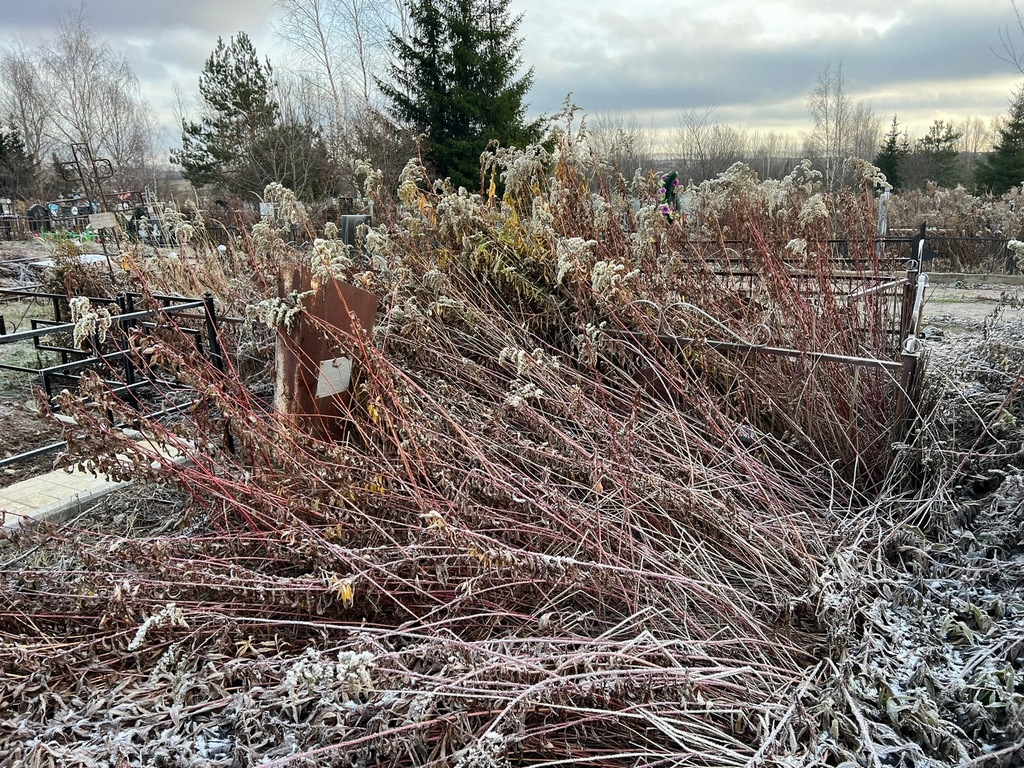 Хижина Клара Ильинична