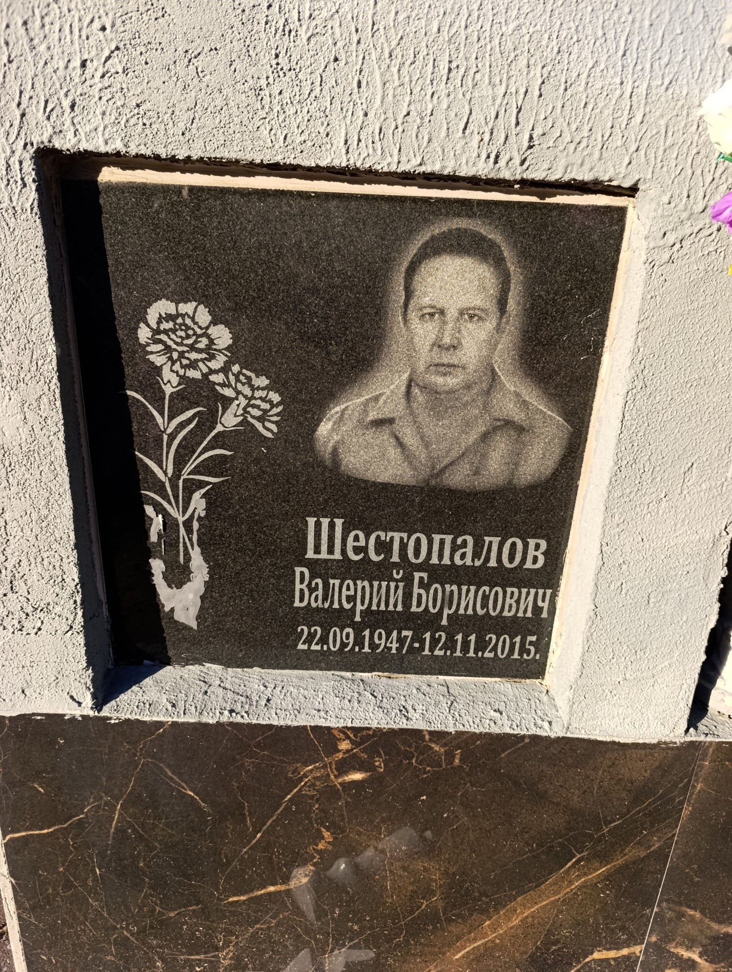 Шестопалов Валерий Борисович