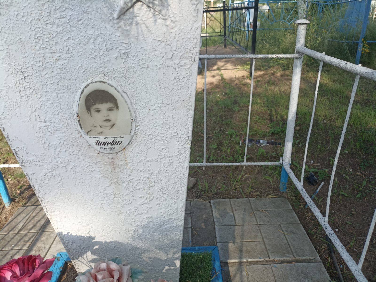 Линевич Николай Викторович