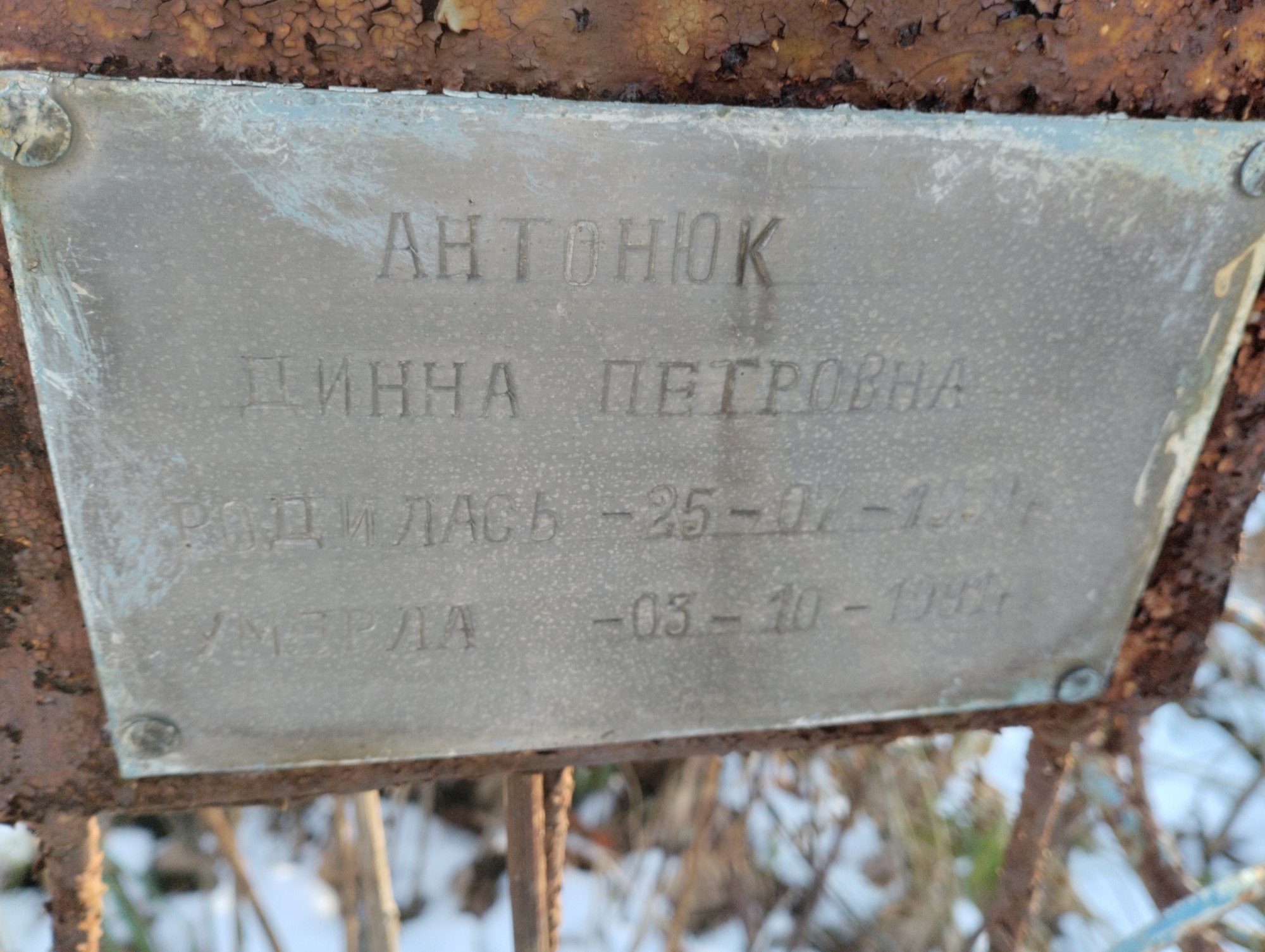 Антонюк Динна Петровна