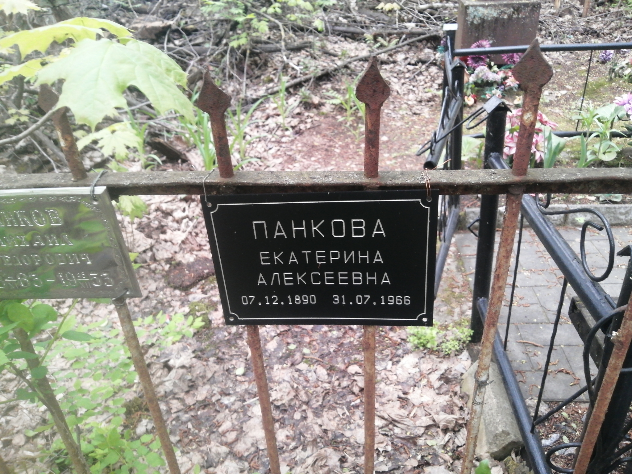 Панкова Екатерина Алексеевна