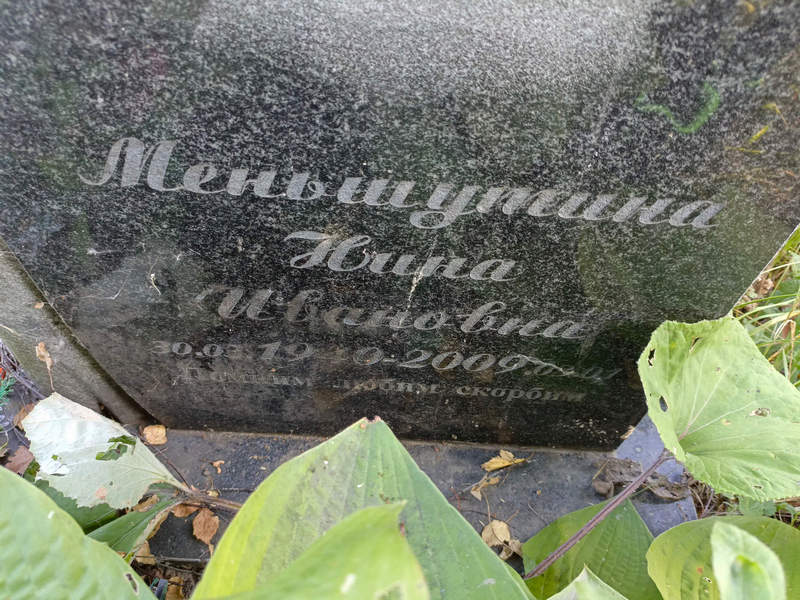 Меньшутина