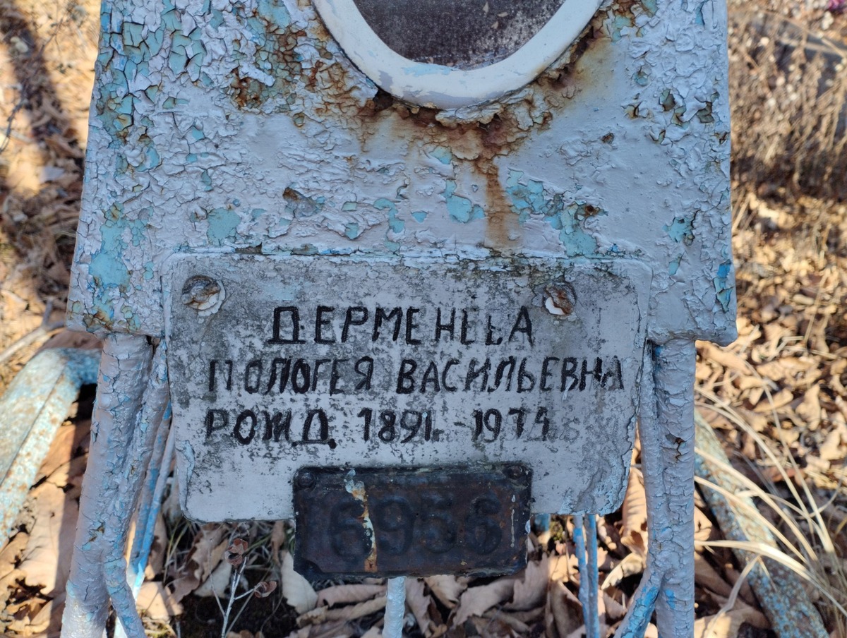 Дерменеева Пологея Васильевна
