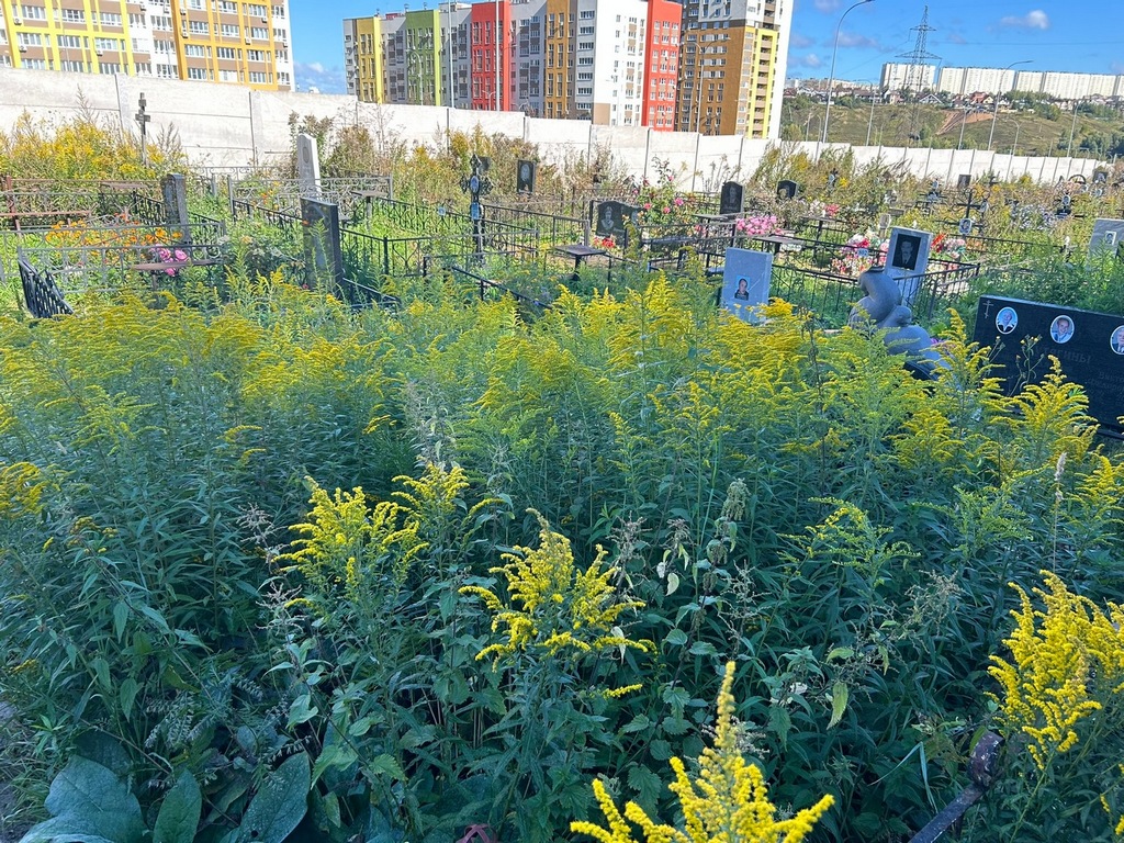 Шакирова Наиля Умаровна