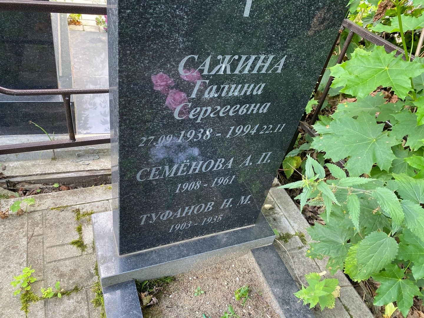 Сажина