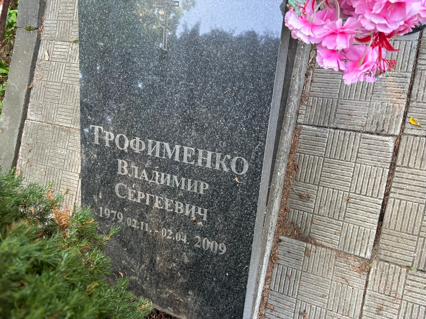 Трофименко