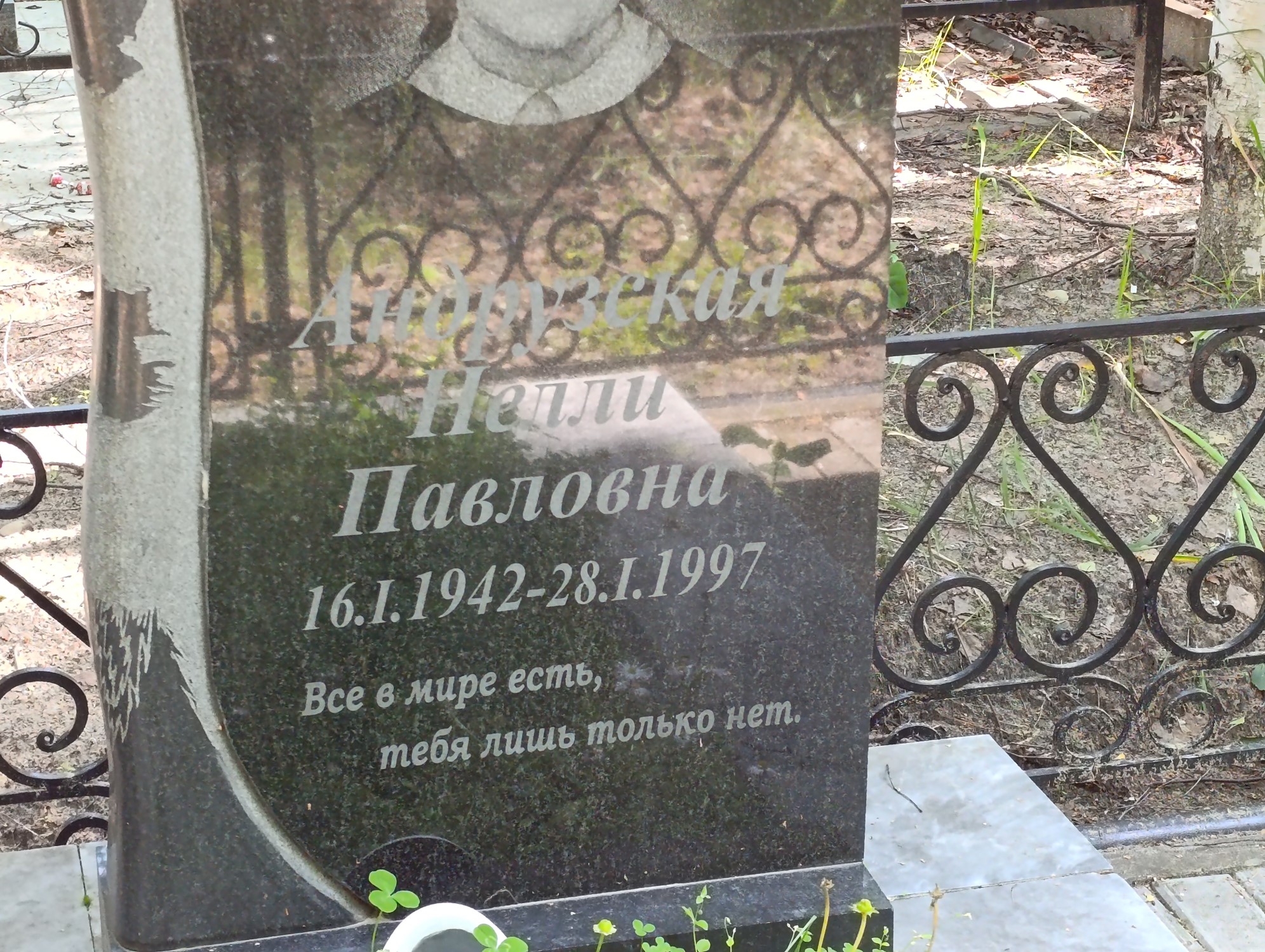 Андрузская Нелли Павловна