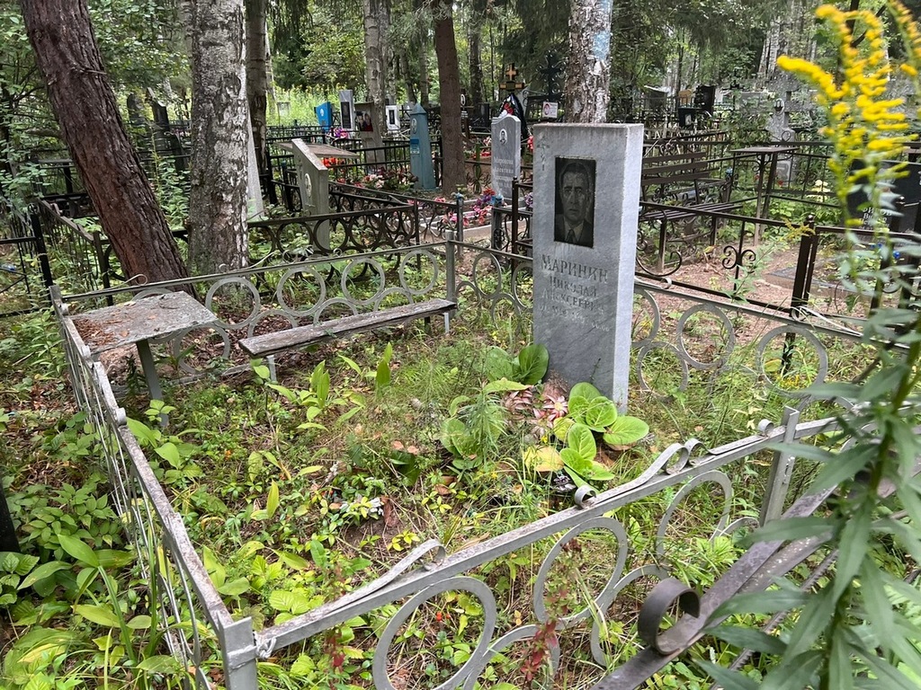 Маринин Николай Алексеевич