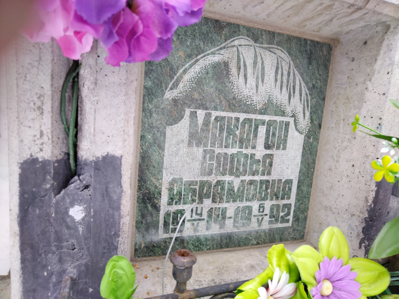 Макагон Софья Абрамовна