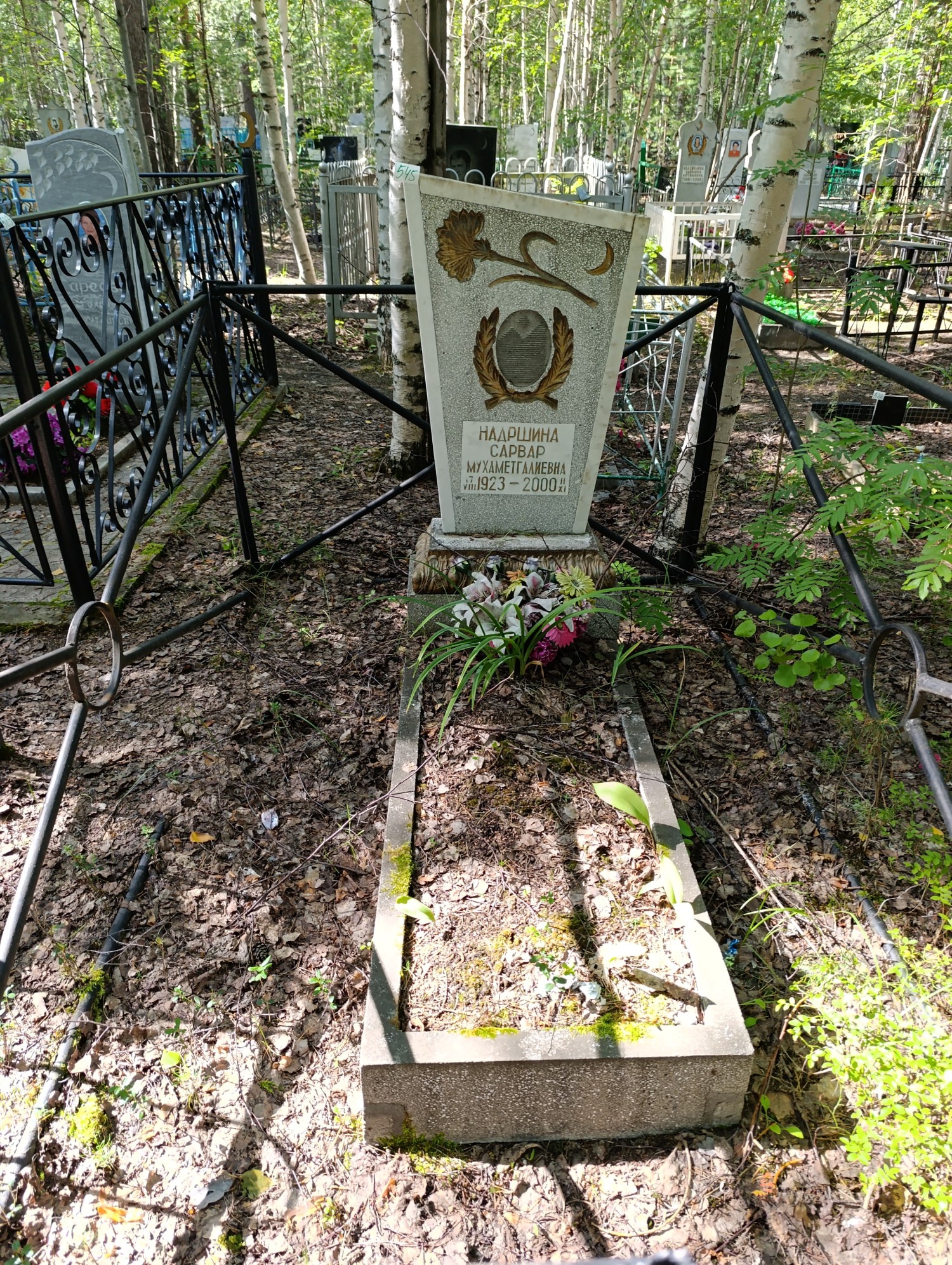Надршина Сарвар Мухаметгалиевна