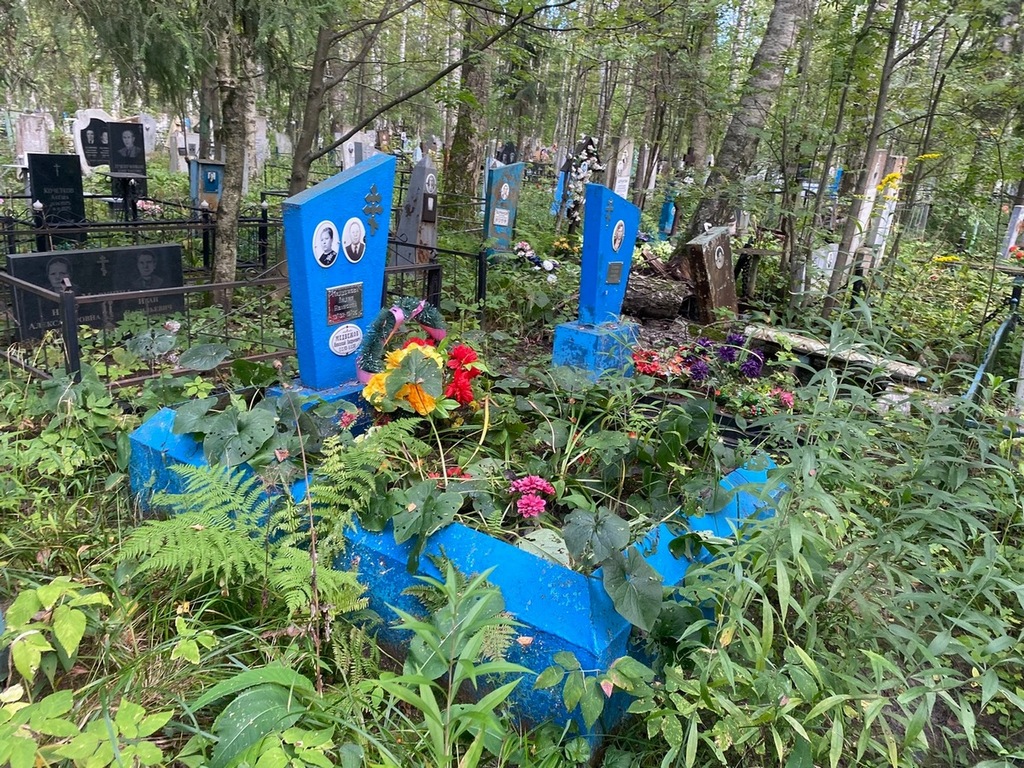 Медвежов Николай Андреевич