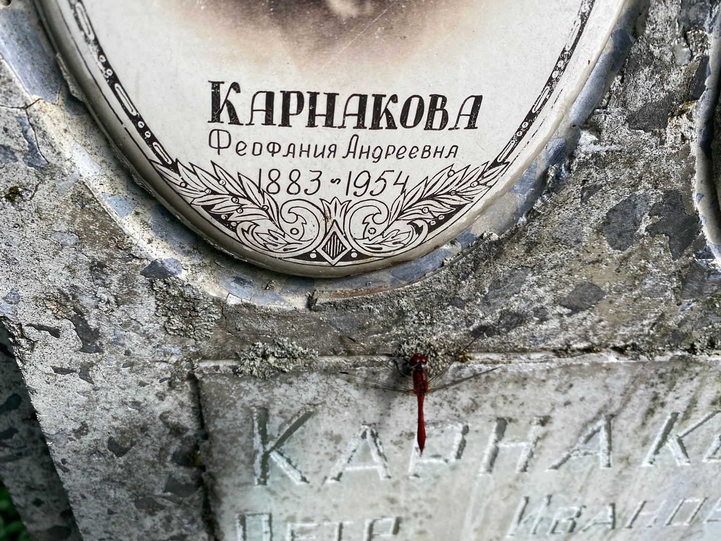 Феофания Карнакова Андреевна