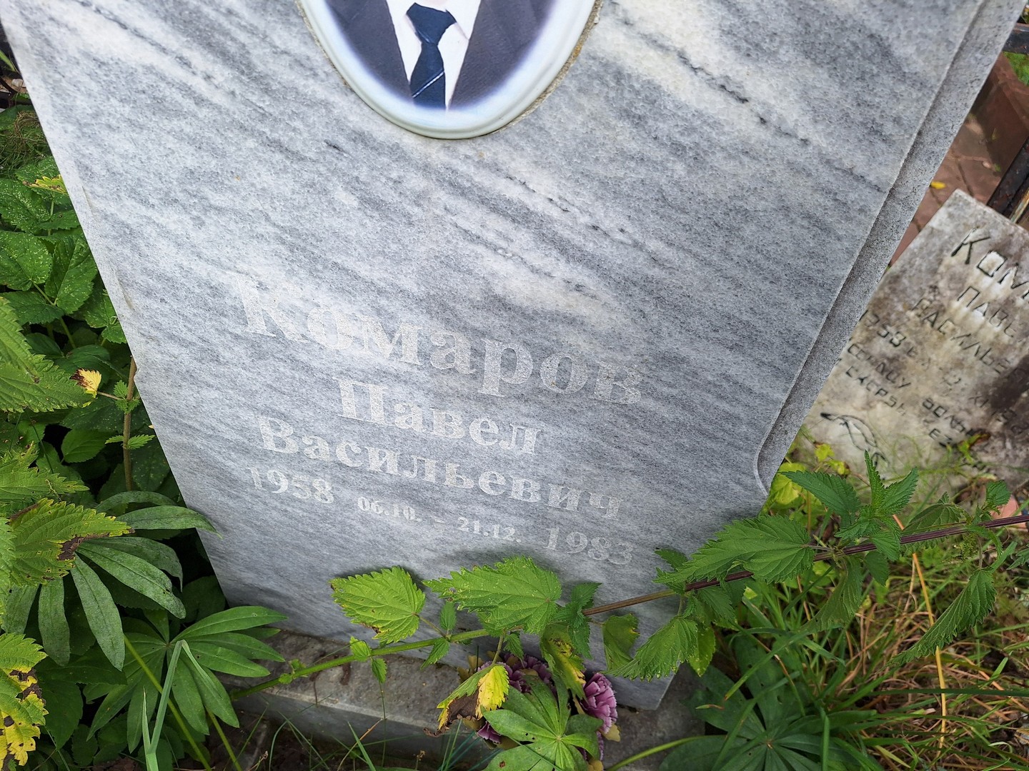 Комаров