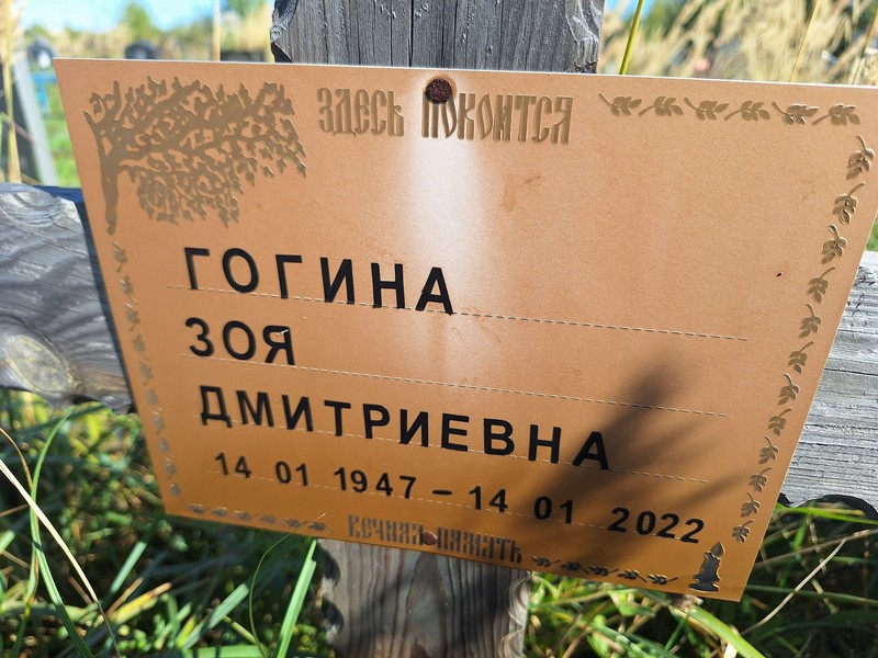 Гогина