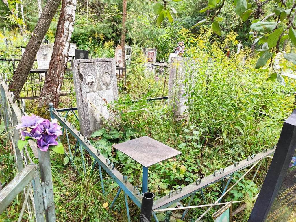 Лебедева Ксения Сергеевна