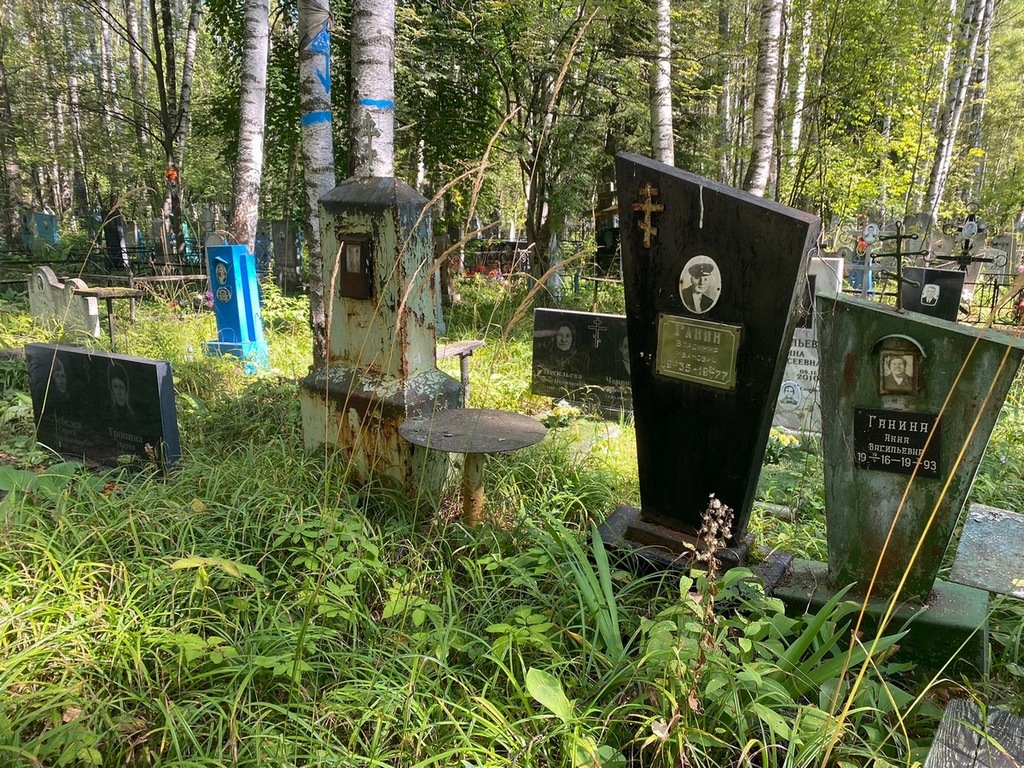 Ганин Владимир Иванович