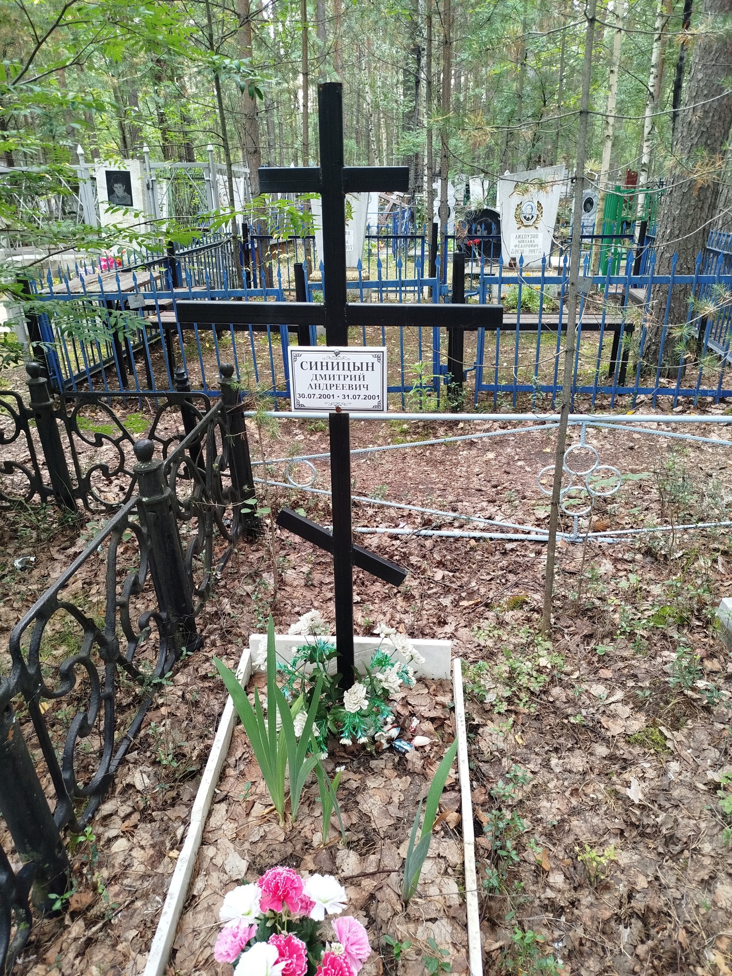 Синицын Дмитрий Андреевич