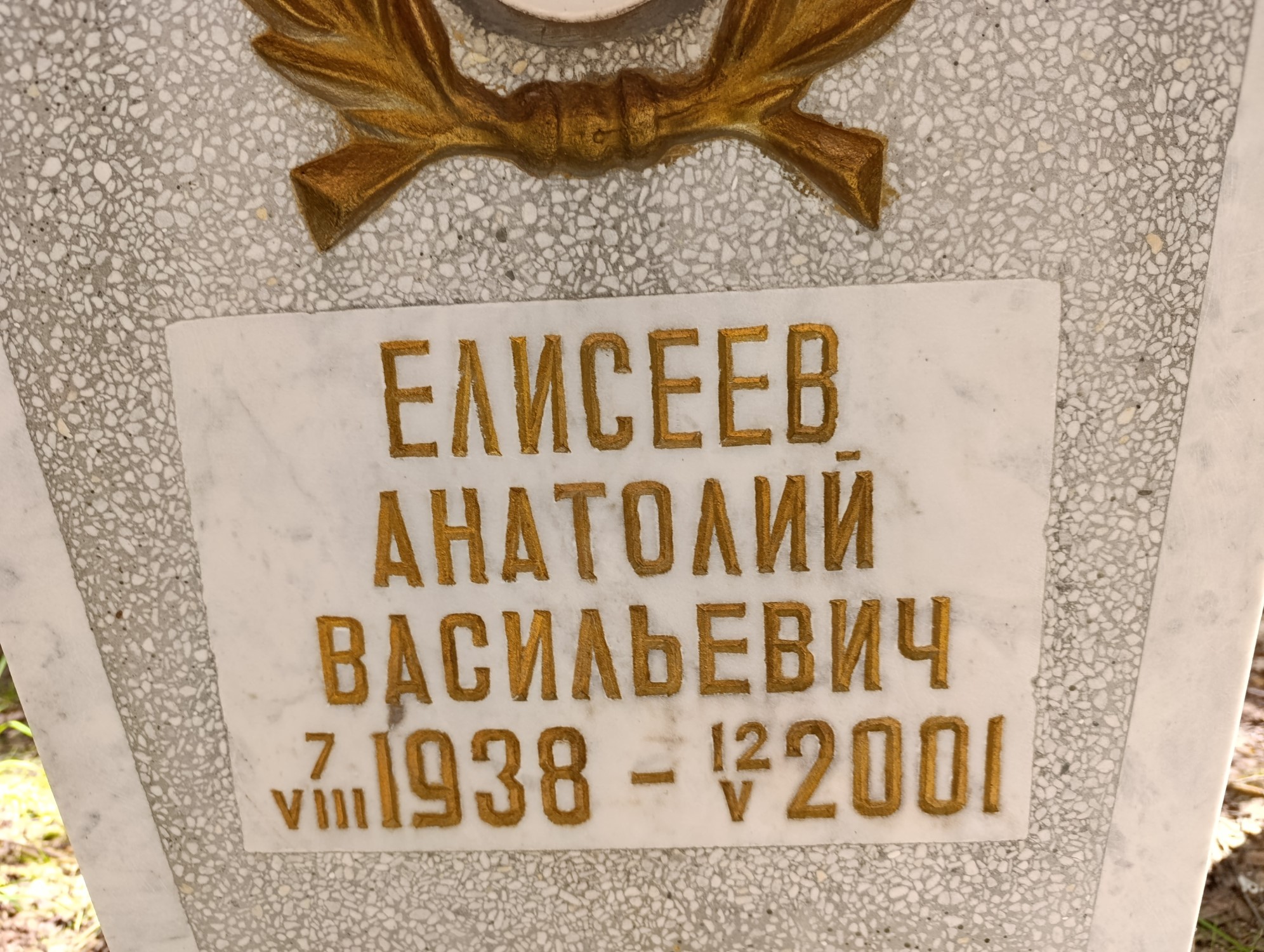 Елисеев Анатолий Васильевич