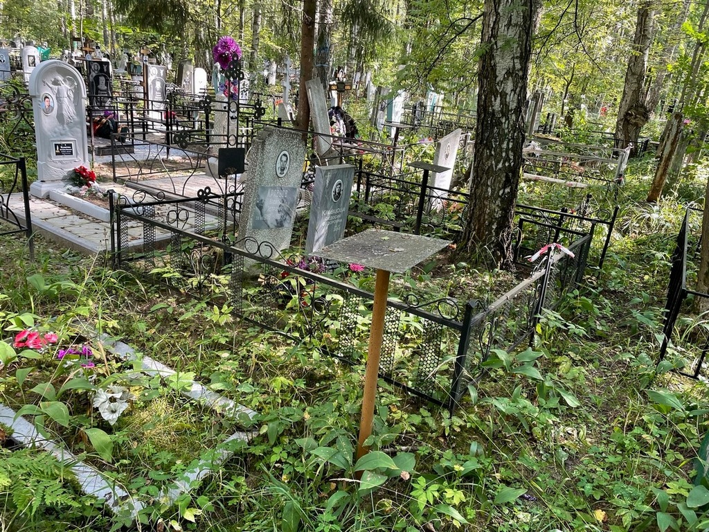 Кравцов Василий Петрович