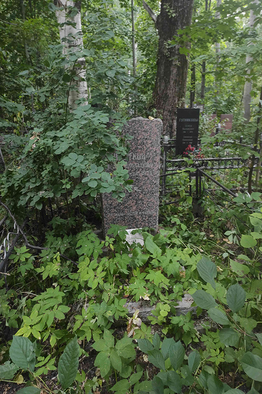 Цветков Илья Николаевич