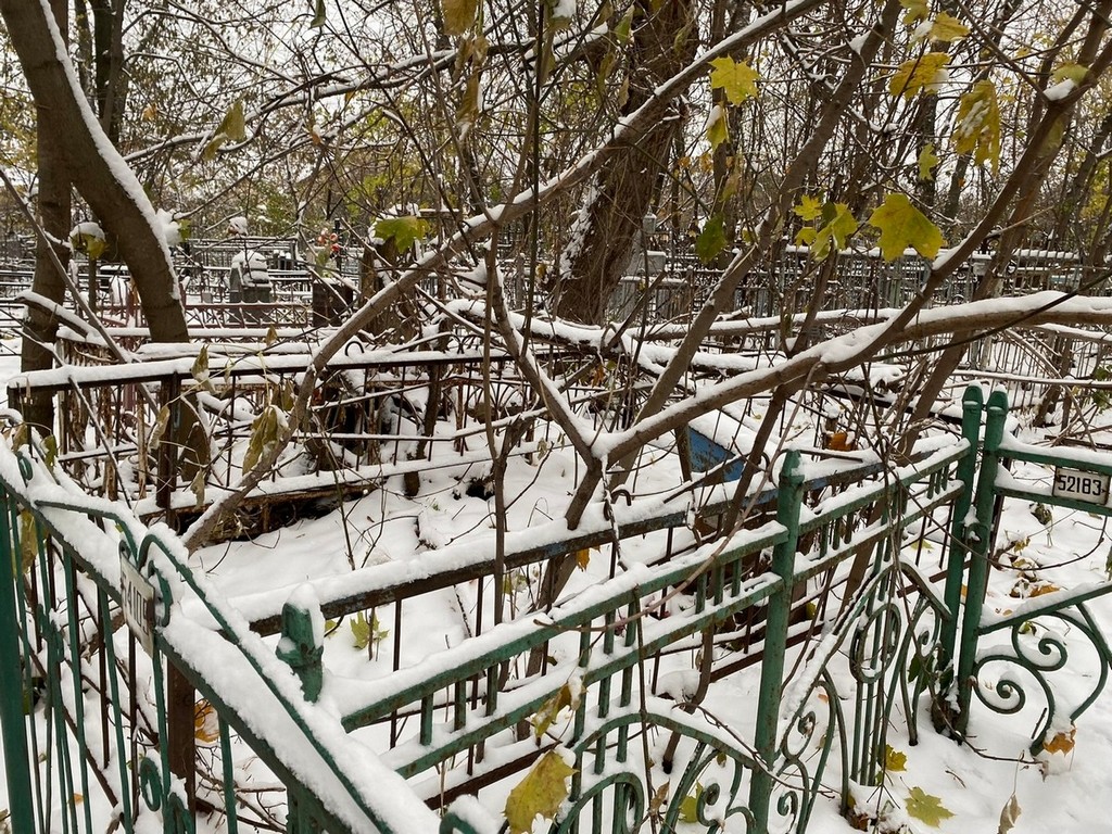 Гонова Софья Степановна