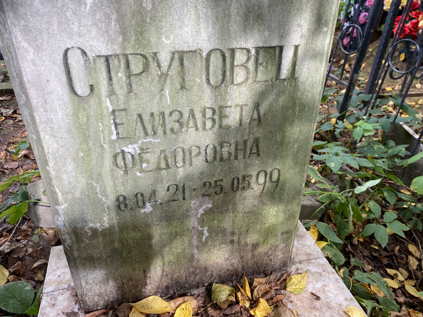 Струтовель