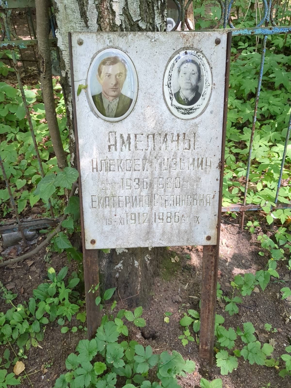 Амелина Екатерина Степановна