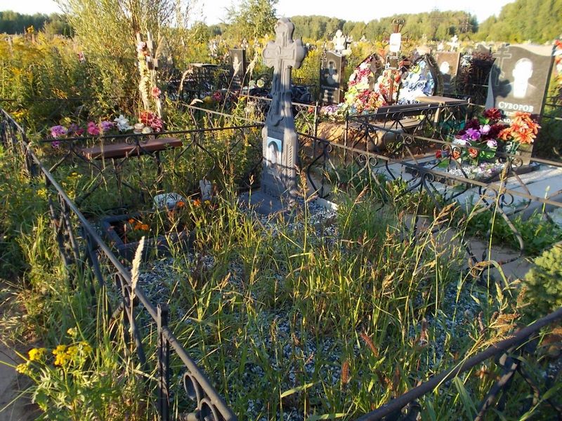 Останина Полина Владимировна