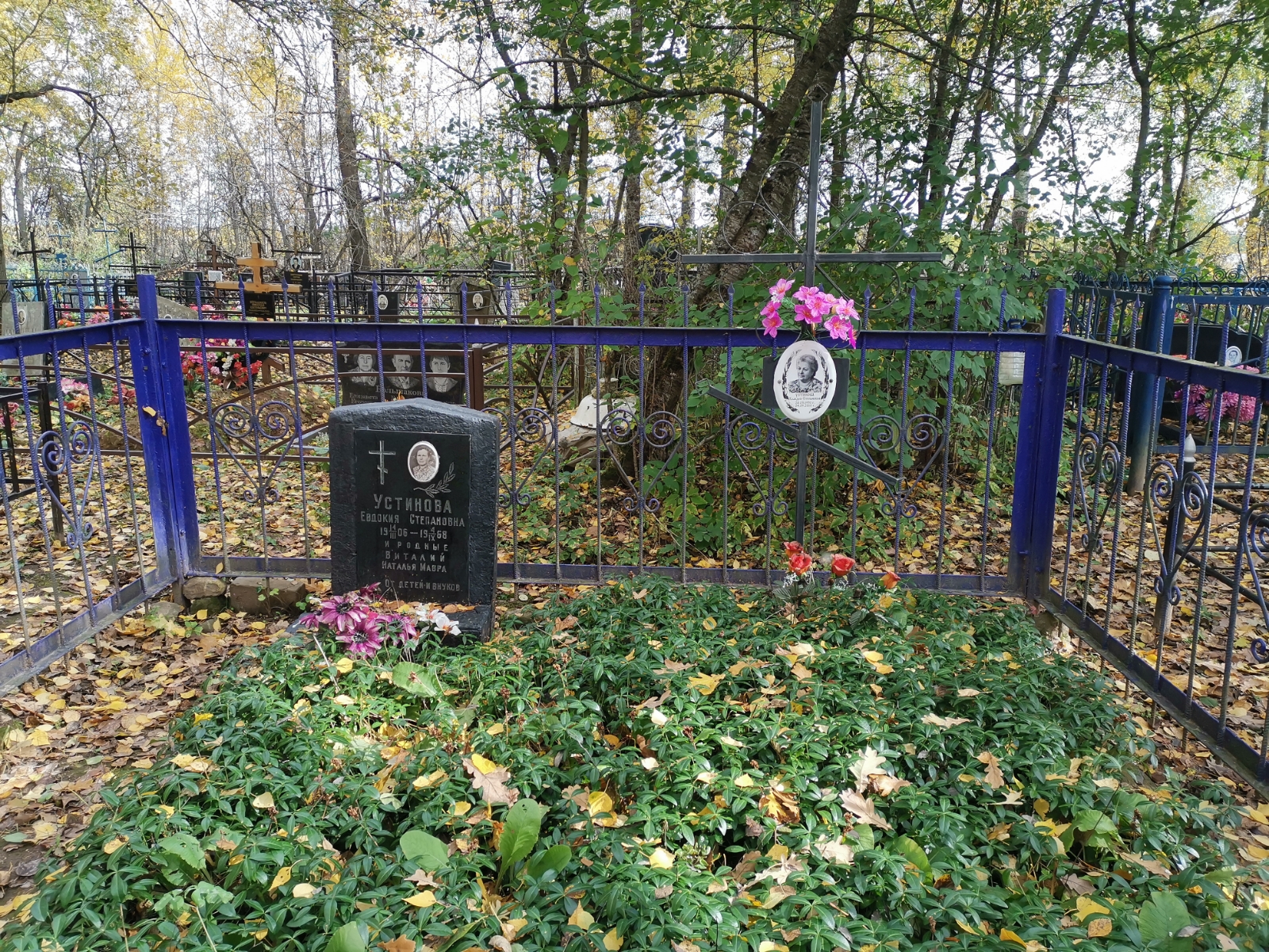 Устинова Евдокия Степановна