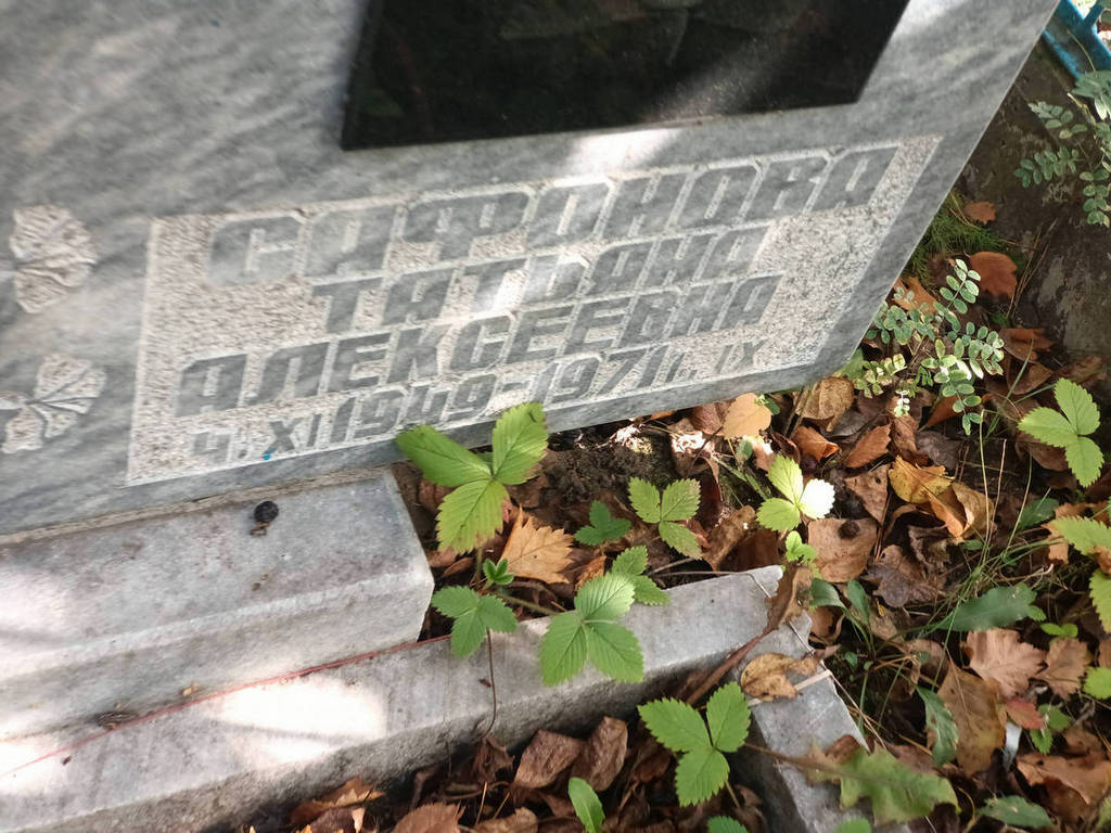 Сафонова Татьяна Алексеевна