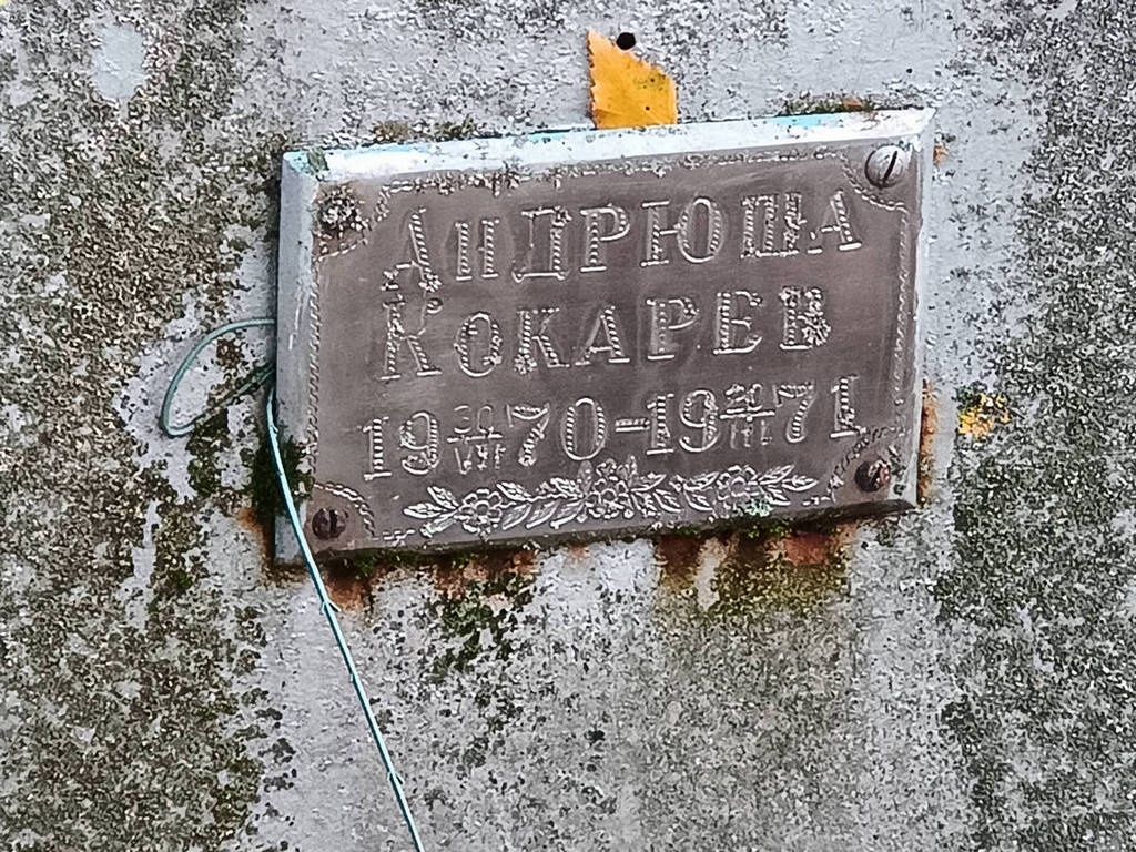 Кокарев Андрей